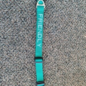 FRIENDLY COLLAR