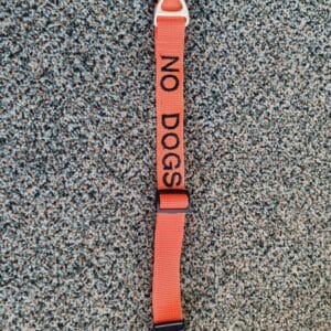 NO DOGS COLLAR