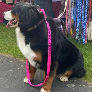 Naughty Sayings Double Lead