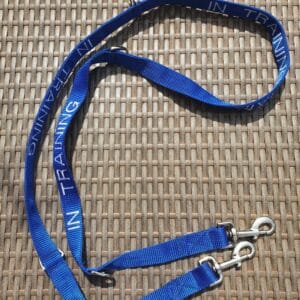 Embroidered Double Ended Lead (In Training)