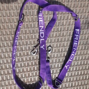 Embroidered Double Ended Lead (Friendly)
