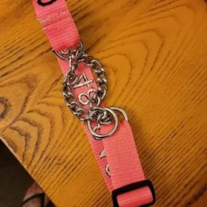 pink dog collar